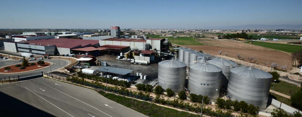 精煉生活，滋養未來——XX油脂公司簡介